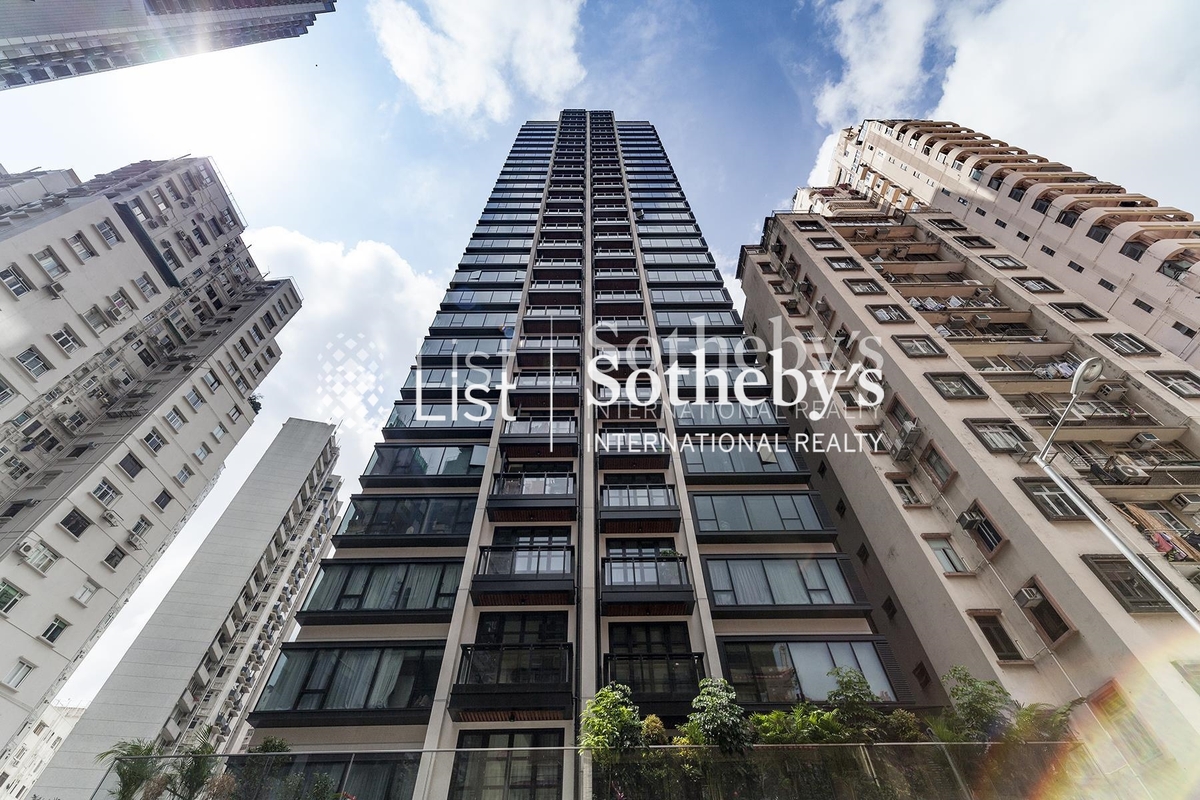 The Aster The Aster The Aster The Aster