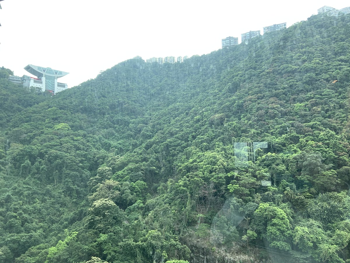 Hillsborough Court 晓峰阁 | View from Living Room