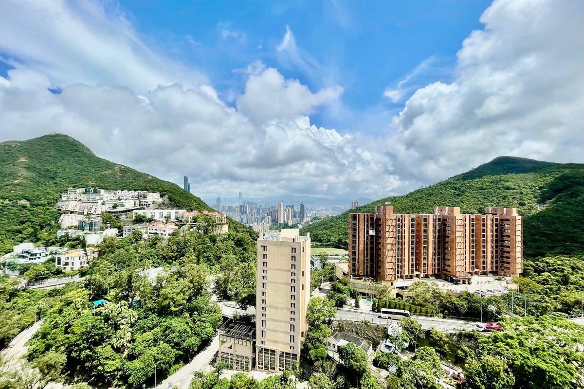 3 Repulse Bay Road 淺水灣道3號 | View from Living Room
