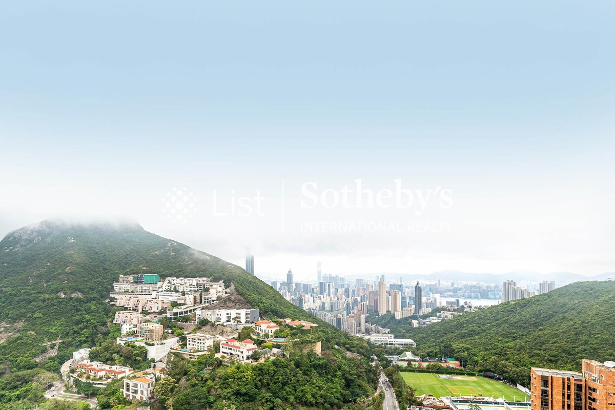 3 Repulse Bay Road 淺水灣道3號 | View from Living and Dining Room