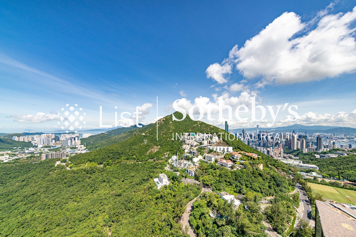 3 Repulse Bay Road 淺水灣道3號 | View from Living and Dining Room