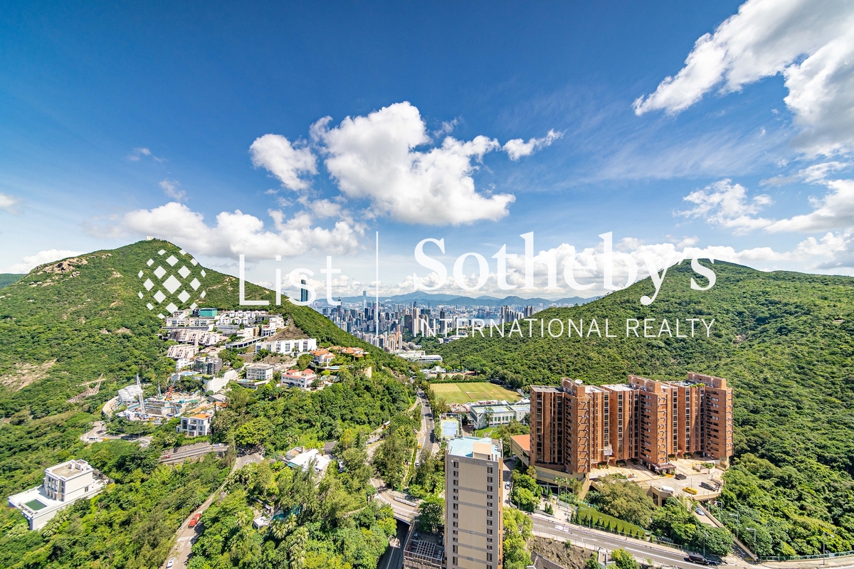 3 Repulse Bay Road 淺水灣道3號 | View from Living and Dining Room