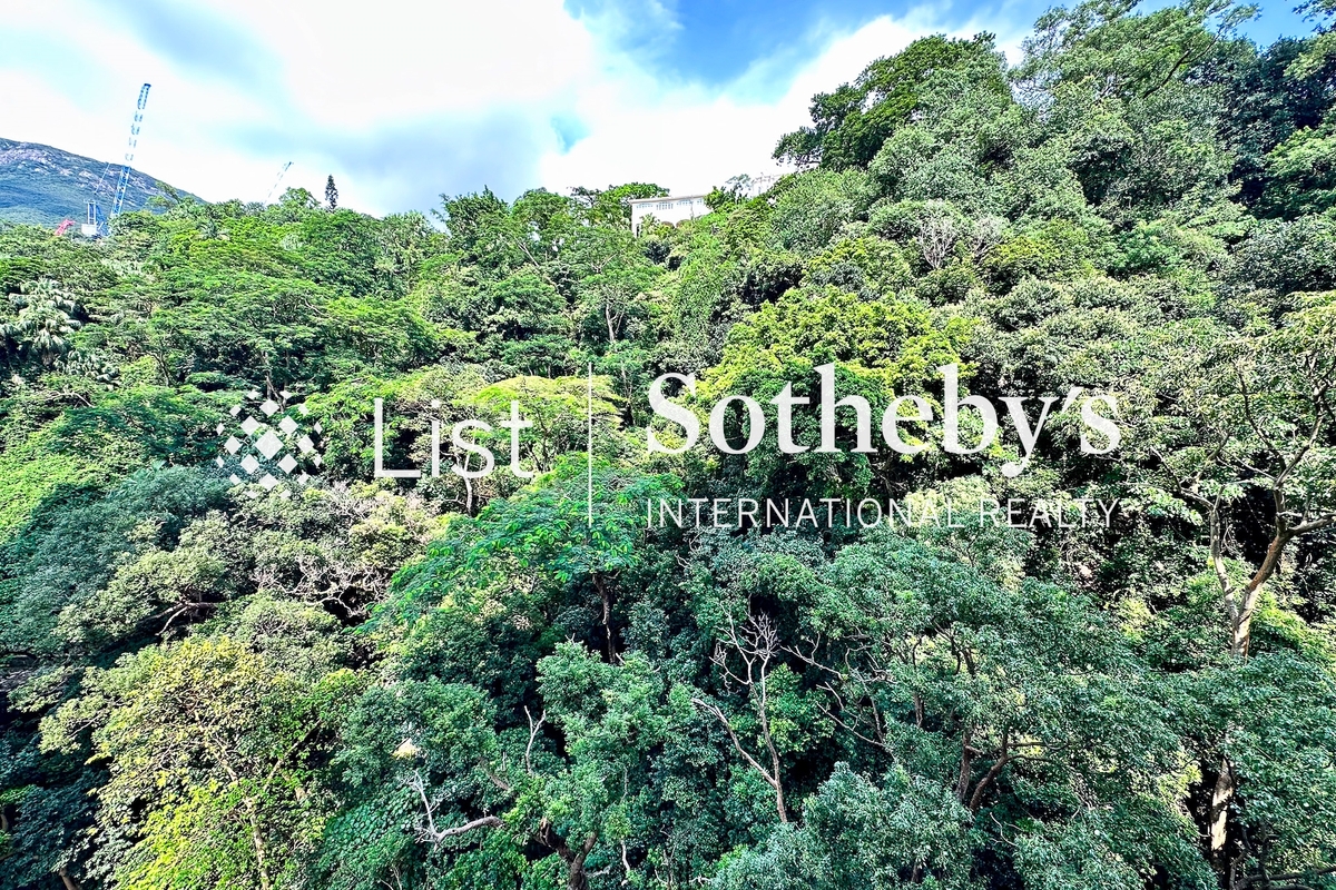 Baguio Villa 碧瑶湾 | View from Living and Dining Room