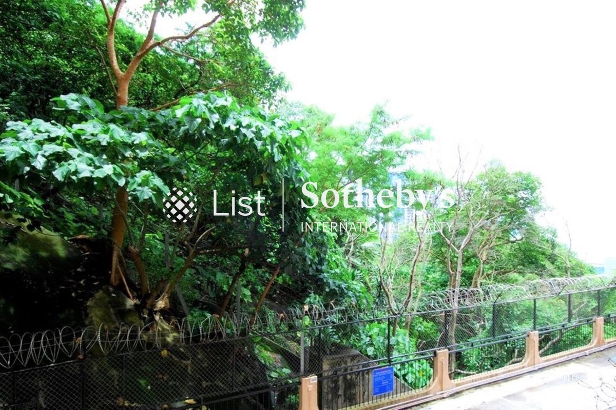 Baguio Villa 碧瑤灣 | View from Kitchen