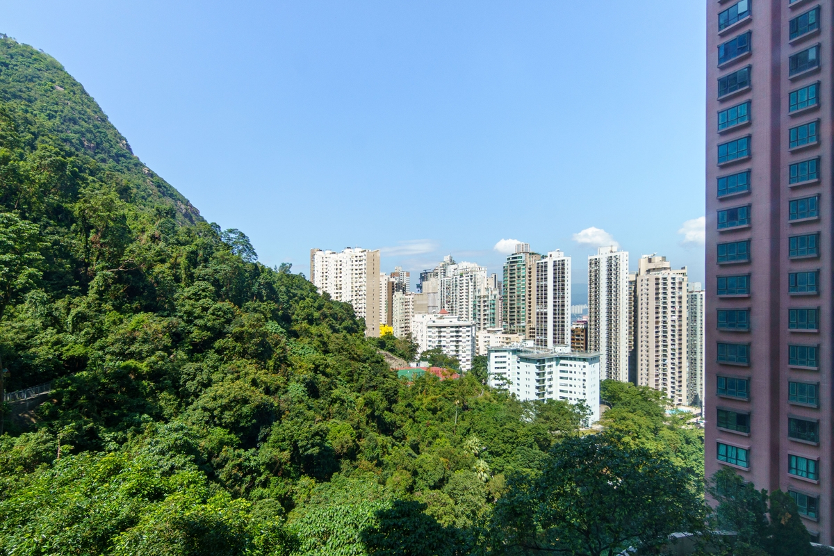 Hillsborough Court 晓峰阁 | View from Living and Dining Room