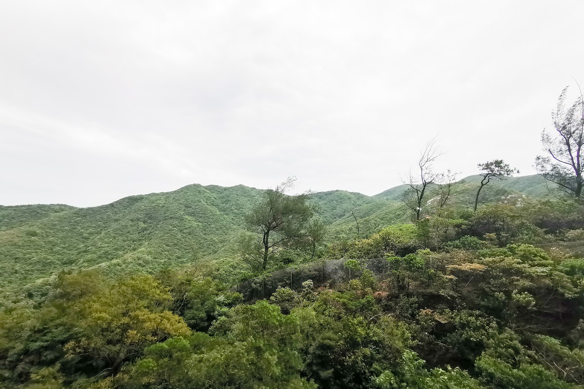 Hong Kong Parkview 阳明山庄 | View from Living and Dining Room