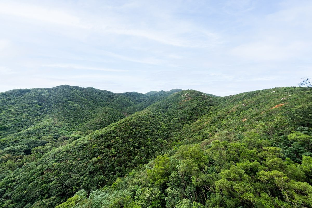 Hong Kong Parkview 陽明山莊 | View from Living and Dining Room