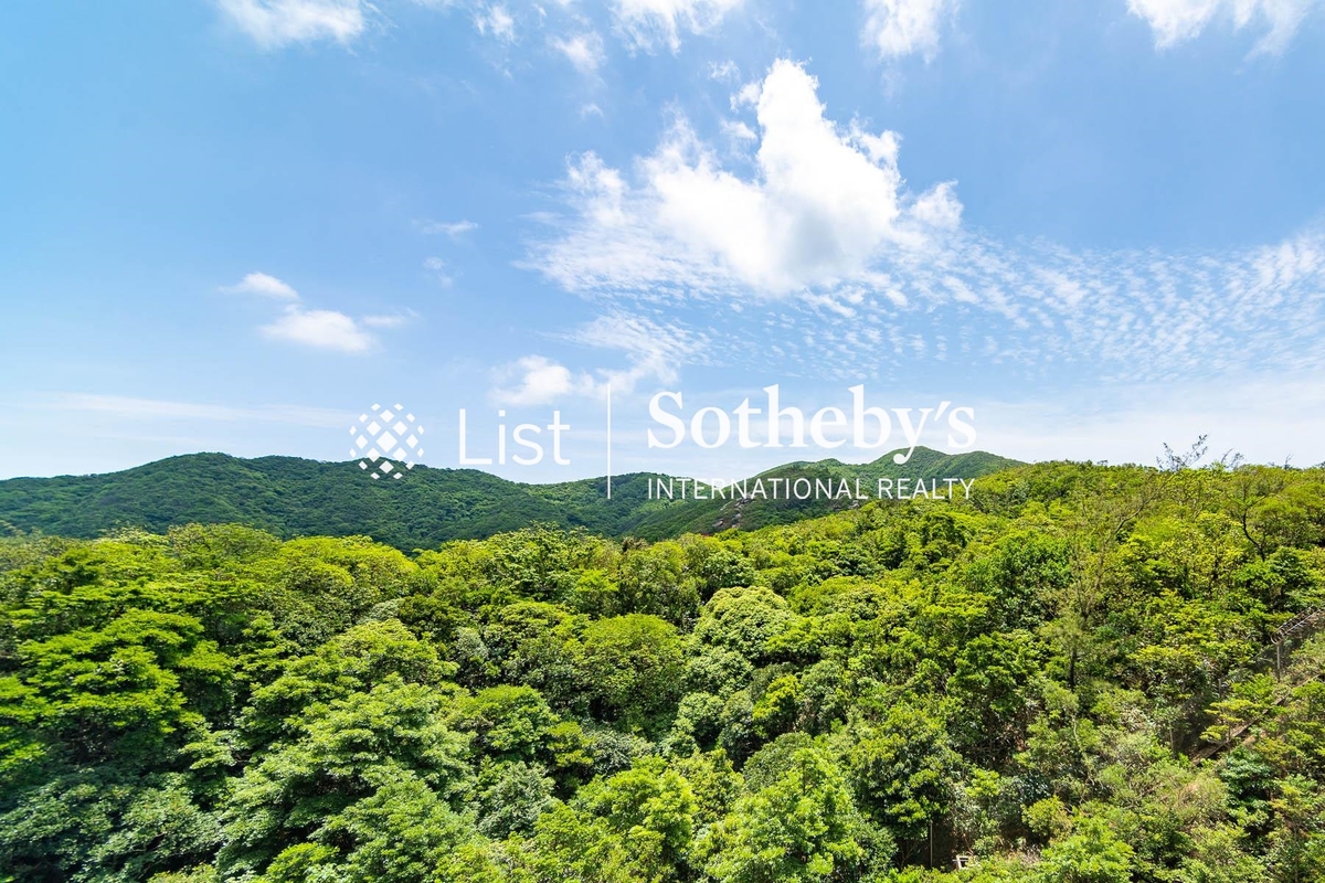 Hong Kong Parkview 陽明山莊 | View from Living and Dining Room