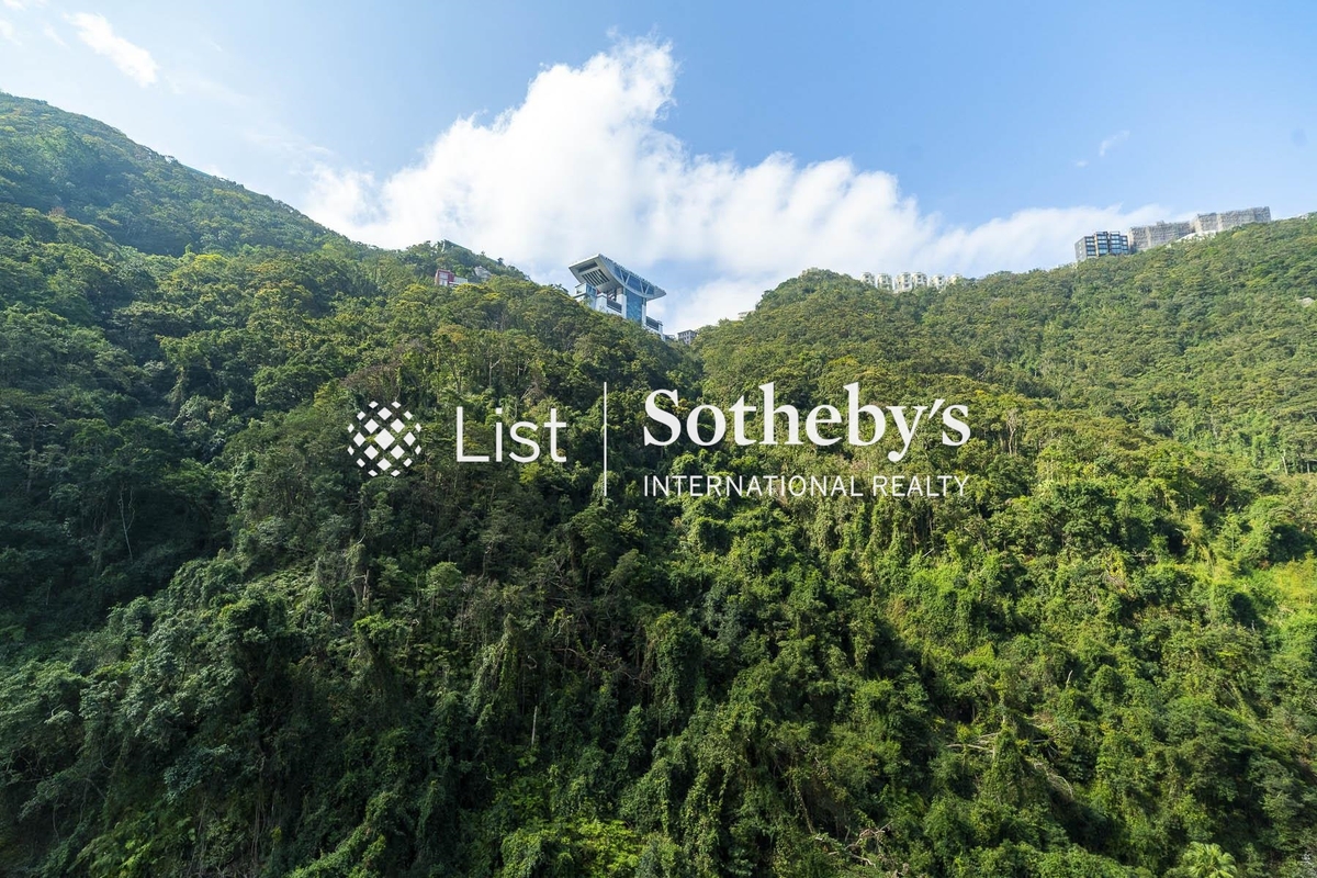 Tavistock II 騰皇居 II | View from Living and Dining Room