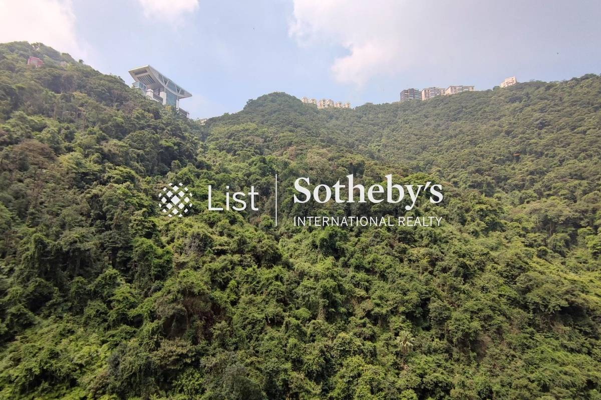 Tavistock II 騰皇居 II | View from Living and Dining Room