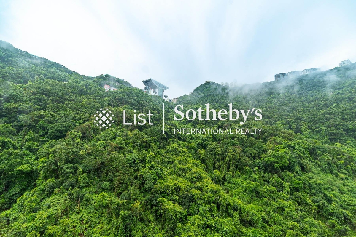 Tavistock II 騰皇居 II | View from Living and Dining Room