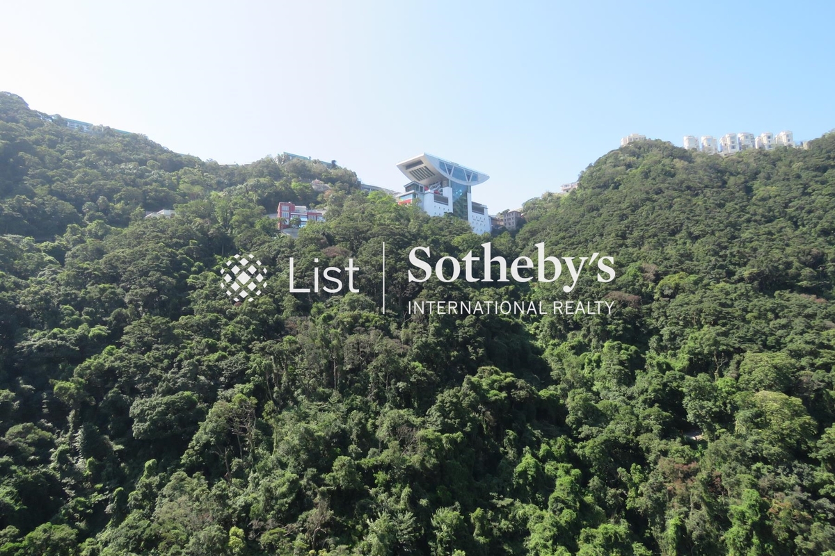 Tavistock II 騰皇居 II | View from Living and Dining Room