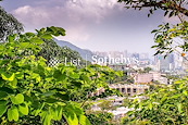 No. 61-63 Deep Water Bay Road 深水灣道61-63號 | View from Living and Dining Room