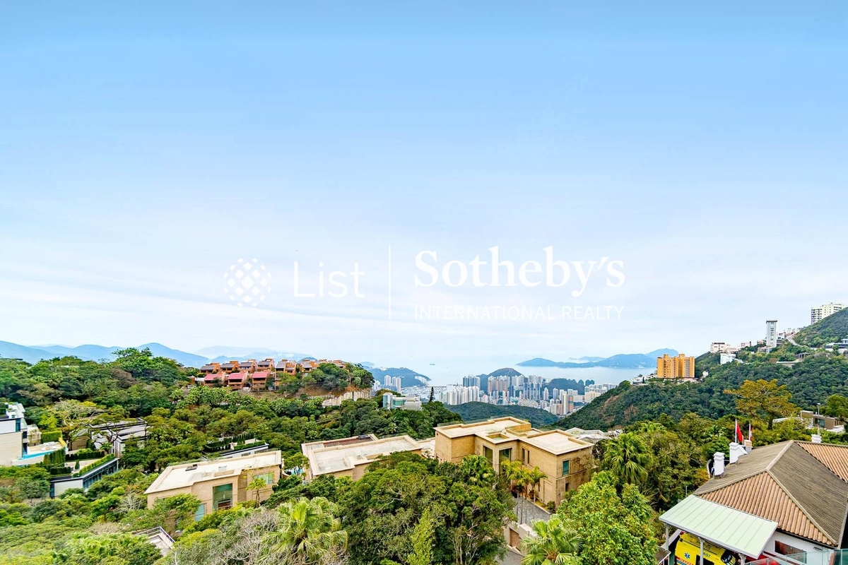 99-103 Peak Road 山頂道99-103號 | View from Private Roof Terrace