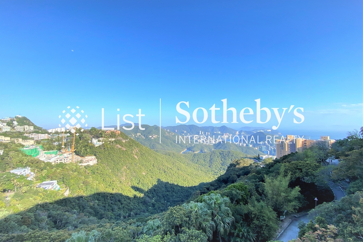 No. 74 Mount Kellett Road 加列山道74號 | View from Private Roof Terrace