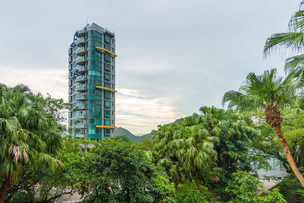 Strawberry Hill 紅梅閣 | View from Living and Dining Room