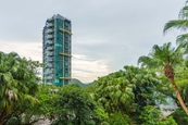 Strawberry Hill 紅梅閣 | View from Living and Dining Room