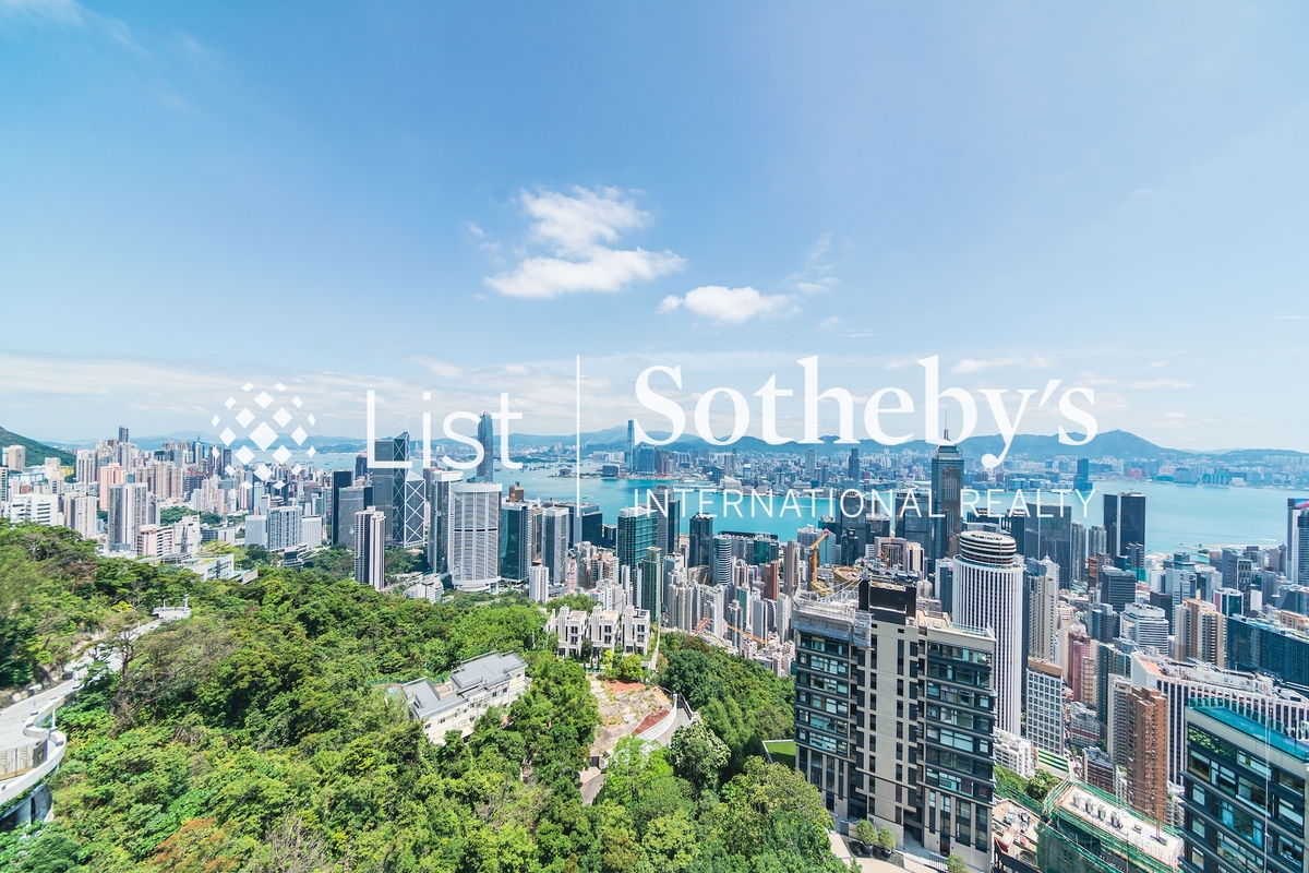 Interocean Court 山頂道26號 | View from Private Roof Terrace