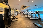 The Lily The Lily | Gym