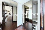 The Lily The Lily | Walk-in Closet