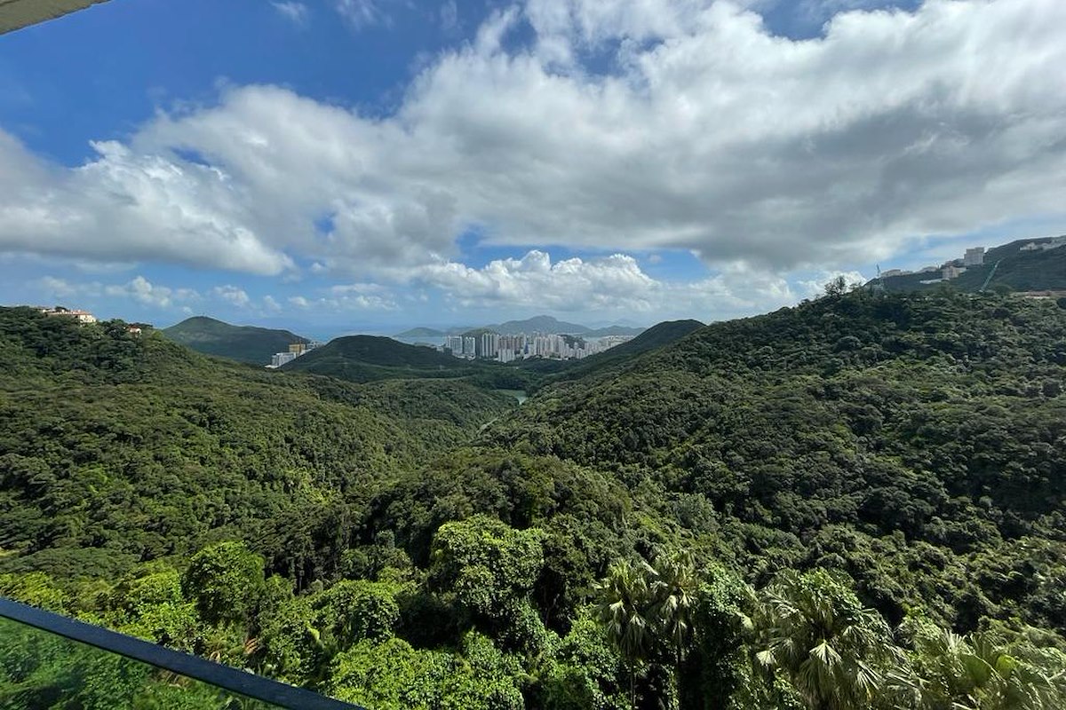 Carolina Gardens 嘉樂園 | View from Living Room