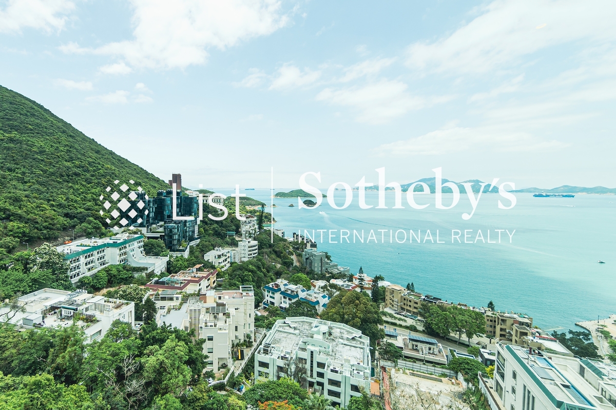 The Lily The Lily | View