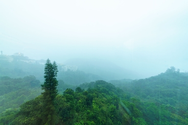 Guildford Court 僑福道5號 | 