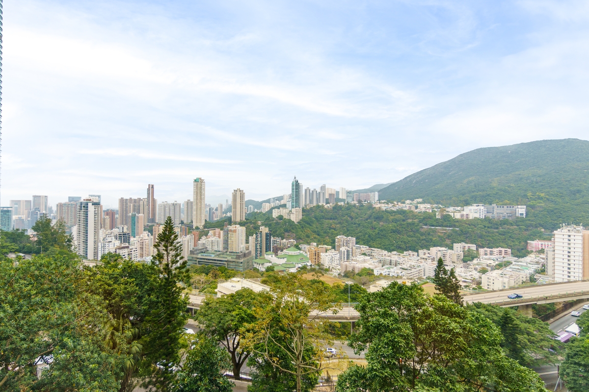 Woodland Heights 怡园 | View from Living and Dining Room