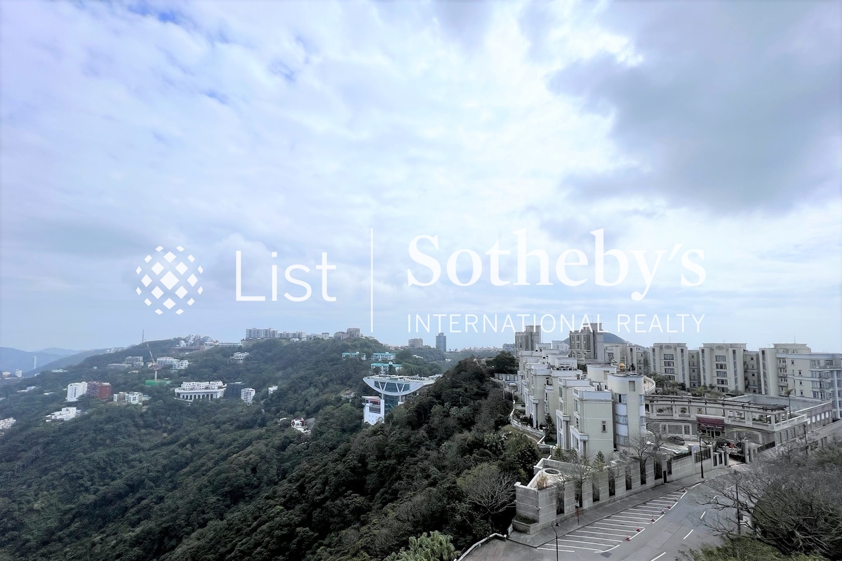 Peak Gardens 山頂花園 | View from Private Roof Terrace