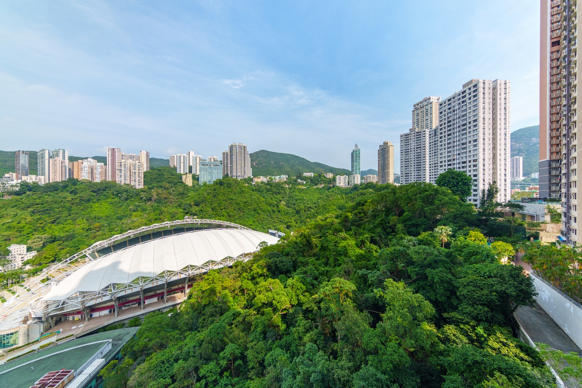 Beverly Hill 比華利山 | View From Balcony 