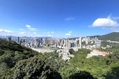 Raceview Mansions 眺馬閣 | View from Balcony