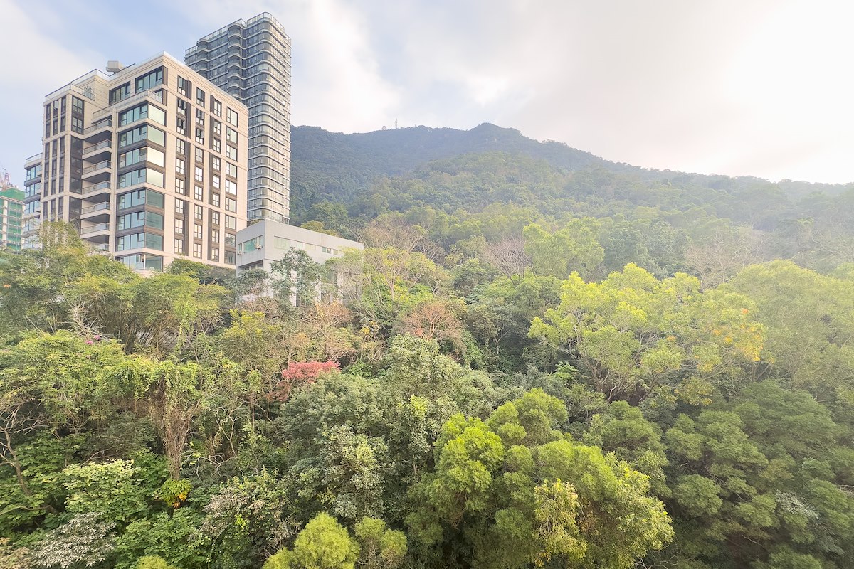 Skyline Mansion 年豐園 | View from Living and Dining Room
