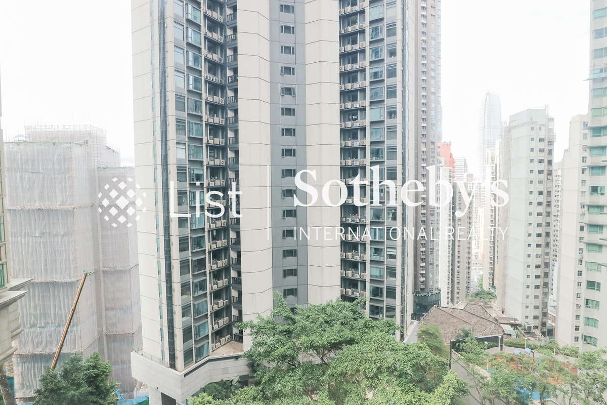 Robinson Place 雍景台 | View