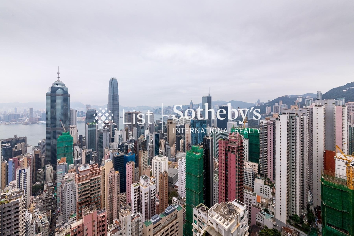 Seymour 懿峰 | View