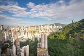 Bamboo Grove 竹林苑 | View from Living and Dining Room
