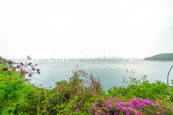 Regalia Bay 富豪海湾 | View from Balcony