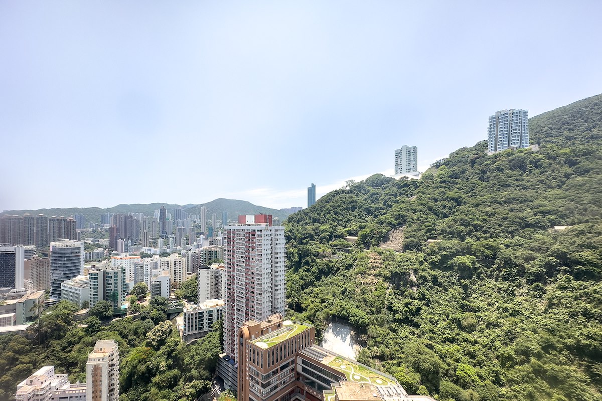 Bamboo Grove 竹林苑 | View from Living Room