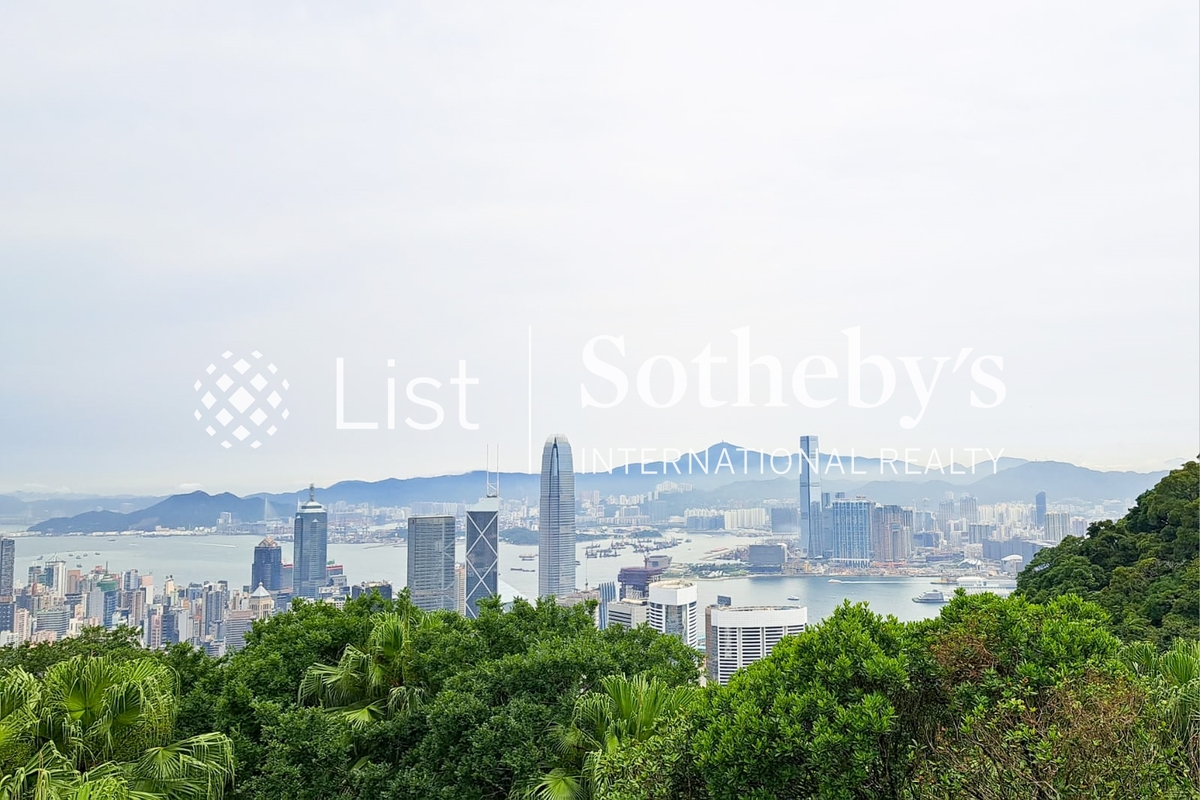 No. 33 Magazine Gap Road 馬己仙峽道33號 | View