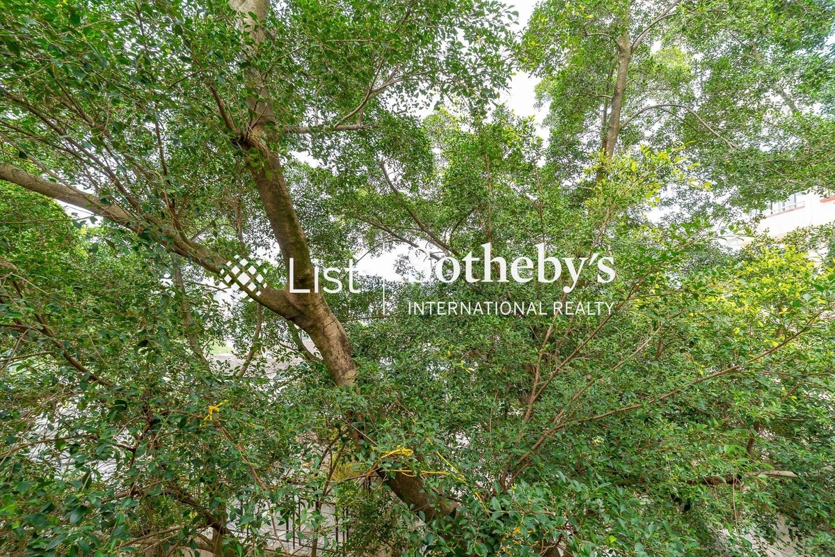 Bowen Verde Bowen Verde | View from Master Bedroom