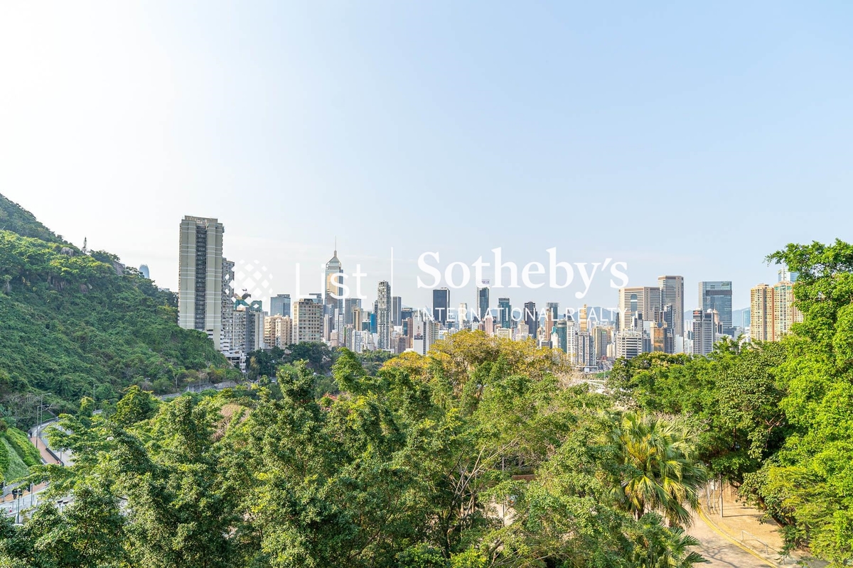 No. 12 Tung Shan Terrace 東山臺12號 | View from Living and Dining Room