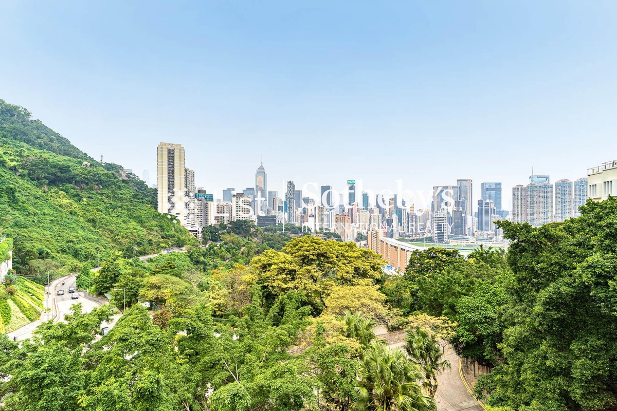 No. 12 Tung Shan Terrace 東山臺12號 | View from Living and Dining Room