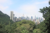 No. 12 Tung Shan Terrace 東山臺12號 | View from Master Bedroom