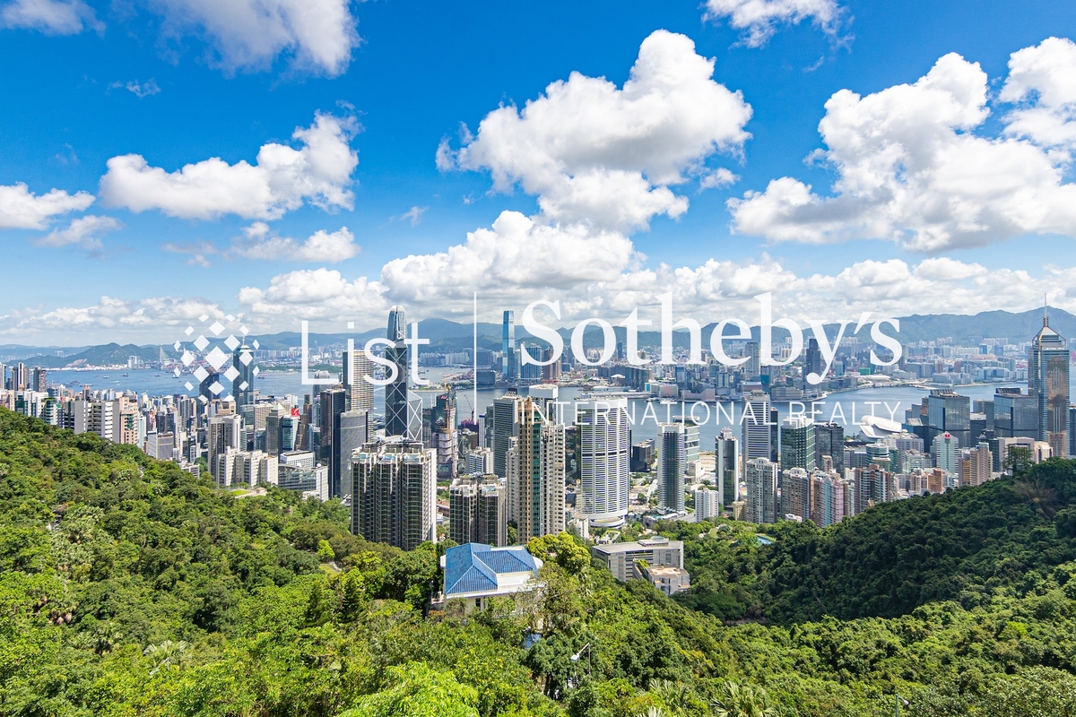 40 Peak Road 山頂道40號 | View from Private Roof Terrace