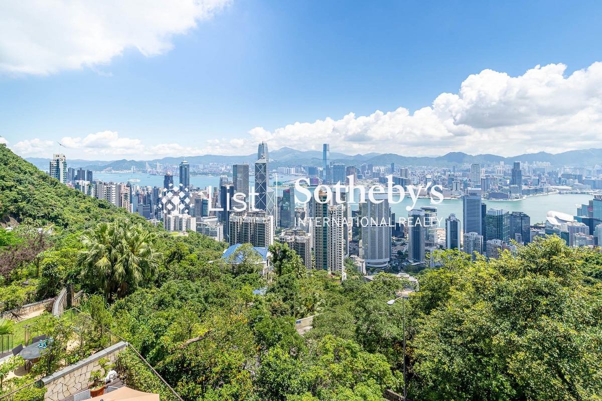 40 Peak Road 山頂道40號 | View from Private Roof Terrace