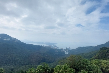 The Mount Austin The Mount Austin | 