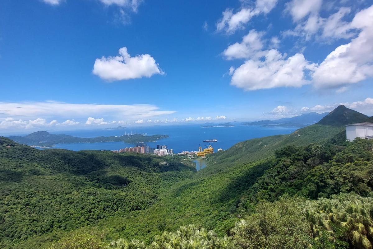 The Mount Austin The Mount Austin | View from Private Roof Terrace