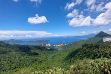 The Mount Austin The Mount Austin | 