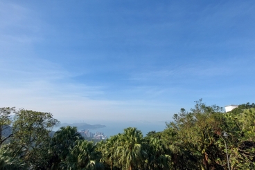 The Mount Austin The Mount Austin | 