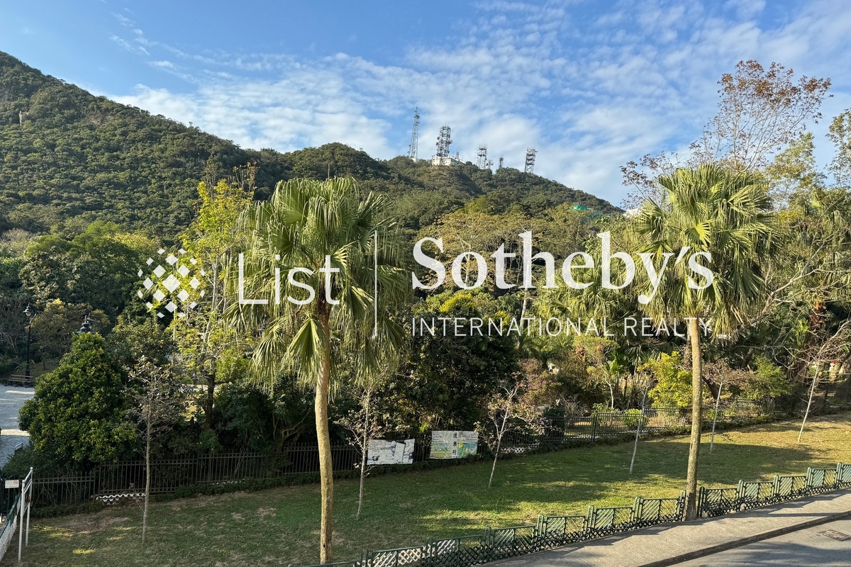 The Mount Austin The Mount Austin | View from Living Room