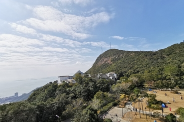 The Mount Austin The Mount Austin | 